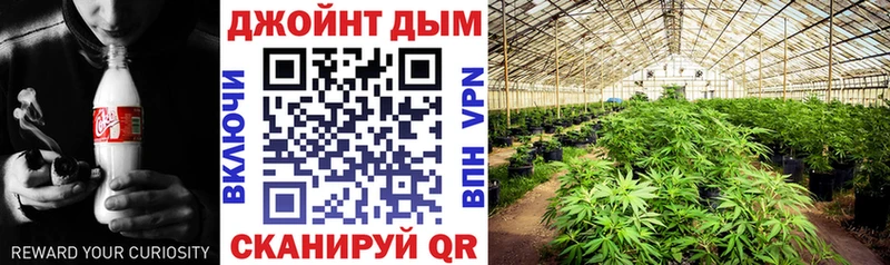 продажа наркотиков  Зарайск  Конопля индика 